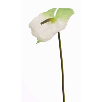 Flamingoblume künstlich MOIRA, weiß-grün, 75cm, 13x18cm