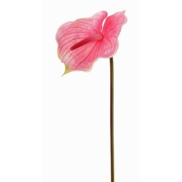 Flamingoblume künstlich MOIRA, pink-rosa, 75cm, 13x18cm