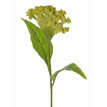 Blume künstlich Hahnenkamm ANUBIS, grün-gelb, 60cm, Ø14cm