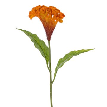 Blume künstlich Hahnenkamm ANUBIS, orange, 60cm, Ø14cm