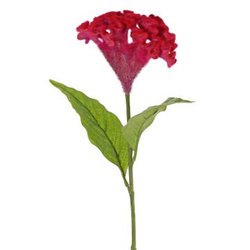 Blume künstlich Hahnenkamm ANUBIS, violett-rot, 60cm, Ø14cm