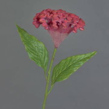 Blume künstlich Hahnenkamm ANUBIS, violett-rot, 60cm, Ø14cm