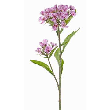 Künstliche Bartnelke ARCHIE, pink-rosa, 60cm, Ø8-14cm