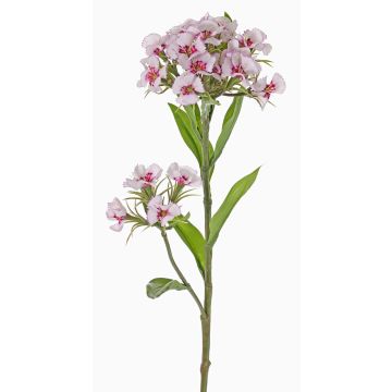 Künstliche Bartnelke ARCHIE, creme-pink, 60cm, Ø8-14cm