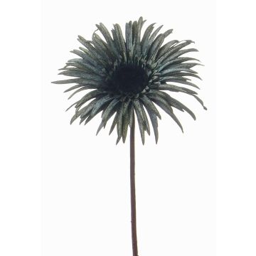Kunstblume Gerbera SIEDA, blau-grün, 65cm, Ø12cm