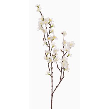 Künstlicher Kirschblütenzweig ARIELLE mit Blüten, weiß, 75cm, Ø1,5-3,5cm Künstlicher Kirschblütenzweig ARIELLE mit Blüten, weiß, 75cm, Ø1,5-3,5cm