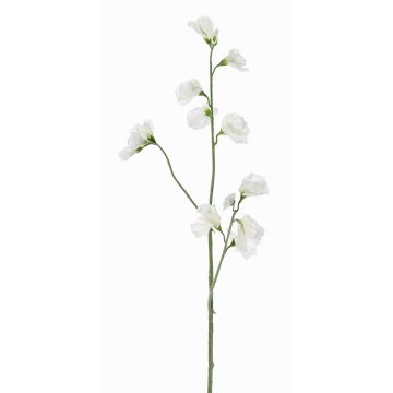 Kunstblumenzweig Lathyrus ASFALOTH, weiß, 65cm, Ø3-5cm