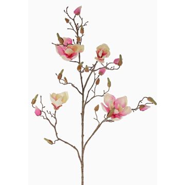 Künstlicher Magnolienzweig LORA, creme-rosa, 110cm, Ø10-12cm Künstlicher Magnolienzweig LORA, creme-rosa, 110cm, Ø10-12cm