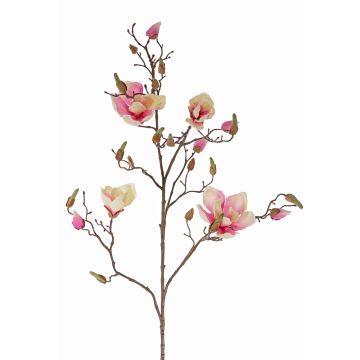 Künstlicher Magnolienzweig LORA, creme-rosa, 110cm, Ø10-12cm