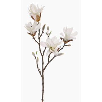 Künstlicher Sternmagnolien Zweig AZULA, weiß, 60cm, Ø9-11cm Künstlicher Sternmagnolien Zweig AZULA, weiß, 60cm, Ø9-11cm