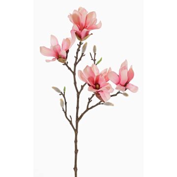 Künstlicher Sternmagnolien Zweig AZULA, rosa, 60cm, Ø9-11cm Künstlicher Sternmagnolien Zweig AZULA, rosa, 60cm, Ø9-11cm