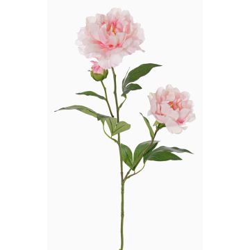 Kunstblumenzweig Pfingstrose ONYX, creme-rosa, 75cm, Ø10-13cm