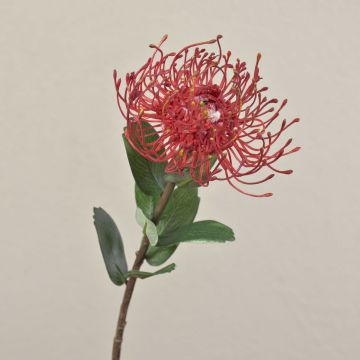Künstliche Nadelkissen Protea BAILY, rot, 55cm, Ø10cm