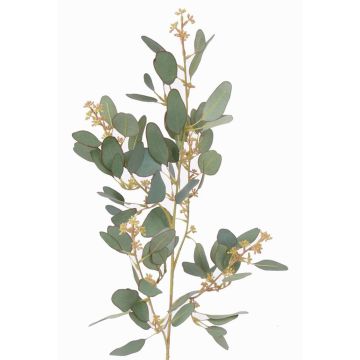 Eukalyptus Zweig künstlich COBAR mit Blüten, crossdoor, grün, 65cm, Ø1,5cm