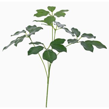 Künstlicher Schefflera Zweig CAPONE, crossdoor, grün, 50cm