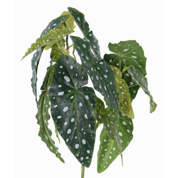 Forellenbegonie Kunstpflanze HANSE auf Steckstab, grün-weiß, 40cm Forellenbegonie Kunstpflanze HANSE auf Steckstab, grün-weiß, 40cm