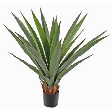 Künstliche Agave furcraea gigantea KNOX, crossdoor, grün, 100cm