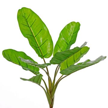 Künstliche Bananenpflanze LITTY auf Steckstab, crossdoor, 55cm