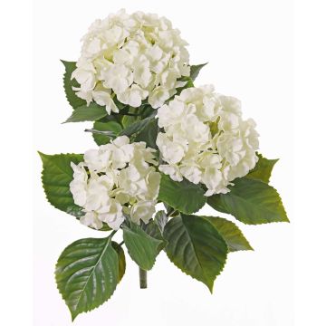 Künstliche Hortensie SAIRA, Steckstab, crossdoor, creme, 40cm, Ø11-13cm Künstliche Hortensie SAIRA, Steckstab, crossdoor, creme, 40cm, Ø11-13cm