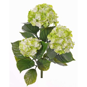 Künstliche Hortensie SAIRA, Steckstab, crossdoor, grün-creme, 40cm, Ø11-13cm Künstliche Hortensie SAIRA, Steckstab, crossdoor, grün-creme, 40cm, Ø11-13cm