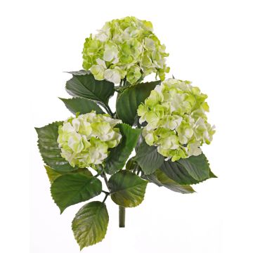 Künstliche Hortensie SAIRA, Steckstab, crossdoor, grün-creme, 40cm, Ø11-13cm Künstliche Hortensie SAIRA, Steckstab, crossdoor, grün-creme, 40cm, Ø11-13cm