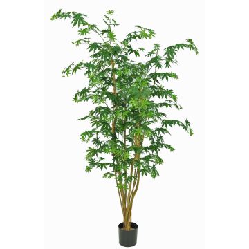 Japanischer Ahornbaum künstlich MANNY, Echtstämme, grün, 180cm