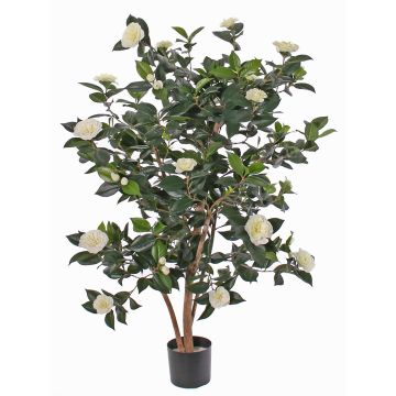 Künstliche Kamelie SENTA, Echtstämme, Blüten, creme, 135cm Künstliche Kamelie SENTA, Echtstämme, Blüten, creme, 135cm