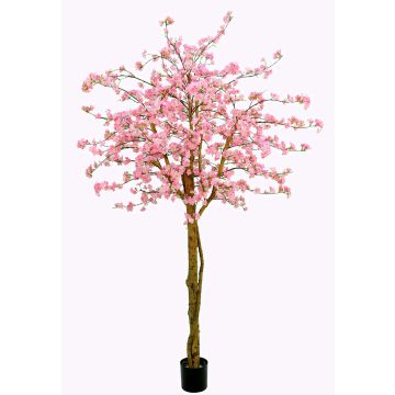 Japanischer Kirschbaum künstlich TIFFY, Echtstämme, Blüten, rosa, 240cm