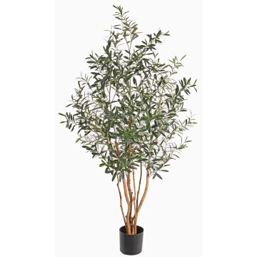 Künstlicher Olivenbaum ROY, Echtstämme, crossdoor, 165cm Künstlicher Olivenbaum ROY, Echtstämme, crossdoor, 165cm