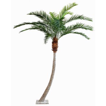 Künstliche Phönix Palme HARPER, crossdoor, 340cm Künstliche Phönix Palme HARPER, crossdoor, 340cm