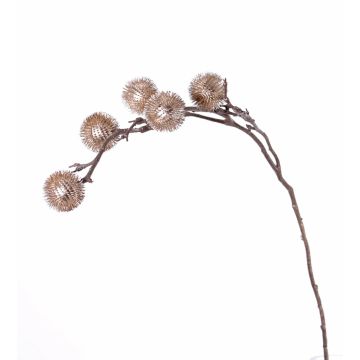 Deko Edeldistel Zweig ROBBY, kupfer, 100cm, Ø6cm Deko Edeldistel Zweig ROBBY, kupfer, 100cm, Ø6cm