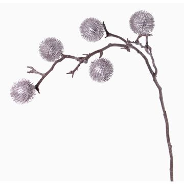 Deko Edeldistel Zweig ROBBY, silber, 100cm, Ø6cm
