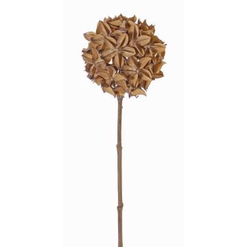 Künstlicher Sternaniszweig CATBERT, hellbraun, 70cm, Ø10cm