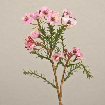 Wachsblume künstlich AISHA, rosa, 27cm, Ø1-1,5cm