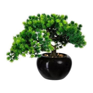 Dekobaum Bonsai Lärche DALUP im Keramiktopf, Wurzeln, 26cm