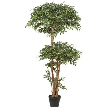 Künstlicher Baum Ruscus NEOSHO im Dekotopf, Naturstämme, 170cm Künstlicher Baum Ruscus NEOSHO im Dekotopf, Naturstämme, 170cm