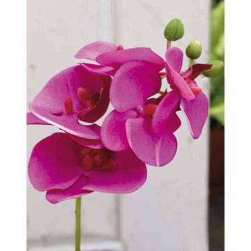 Phalaenopsis Orchideenzweig künstlich OPHELIA, pink, 40cm, Ø7-8cm