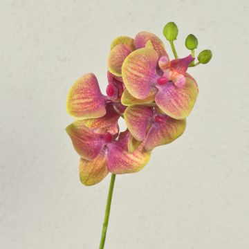 Phalaenopsis Orchideenzweig künstlich OPHELIA, pink-grün, 40cm, Ø7-8cm