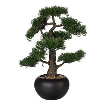 Kunstbaum Bonsai Zeder FALKE, Keramiktopf, 50cm