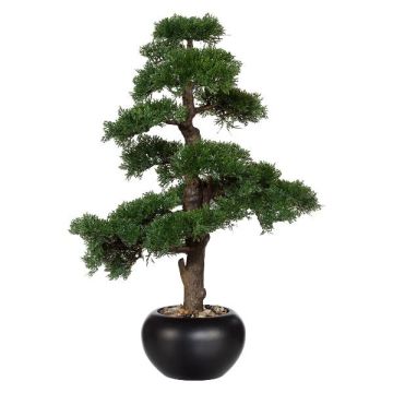 Kunstbaum Bonsai Zeder FALKE mit Wurzeln, Keramiktopf, 70cm
