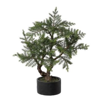 Kunstbaum Bonsai-Zimmertanne LONSA im Dekotopf, 75cm
