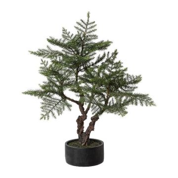 Kunstbaum Bonsai-Zimmertanne LONSA im Dekotopf, 100cm