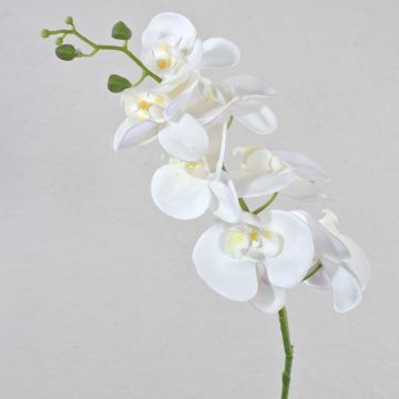 Phalaenopsis Orchideenzweig künstlich OPHELIA, weiß, 80cm, Ø8-9cm