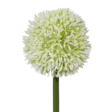 Dekoblume Allium MENKES, weiß, 65cm