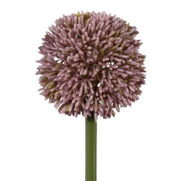Dekoblume Allium MENKES, flieder, 65cm