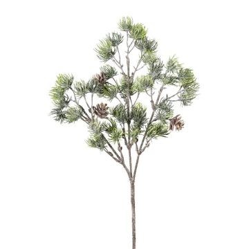 Deko Zweig Zeder SNALTI mit Zapfen, gefroren, weiß-grün, 45cm