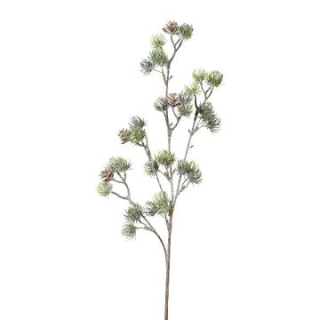 Deko Zweig Zeder SNALTI mit Zapfen, gefroren, weiß-grün, 65cm