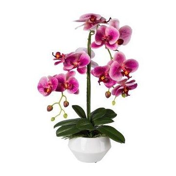 Plastikblume Phalaenopsis Orchidee KASDA, Keramiktopf, Wurzeln, pink, 50cm