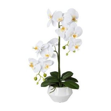 Plastikblume Phalaenopsis Orchidee KASDA, Keramiktopf, Wurzeln, weiß, 50cm Plastikblume Phalaenopsis Orchidee KASDA, Keramiktopf, Wurzeln, weiß, 50cm