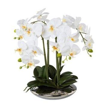 Textil Phalaenopsis Orchidee MANULO, Keramikschale silber, Wurzeln, weiß, 40cm